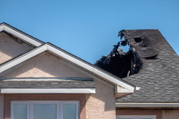 Licensed Content Restoration service in Carrollton, OH - Fire Damage Biloxi